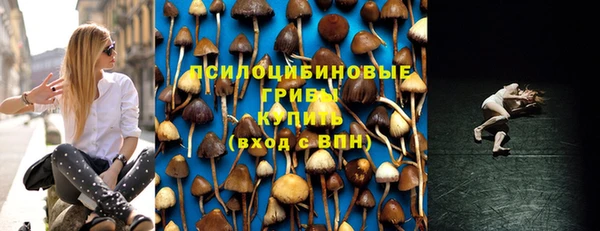 шишки Алексин