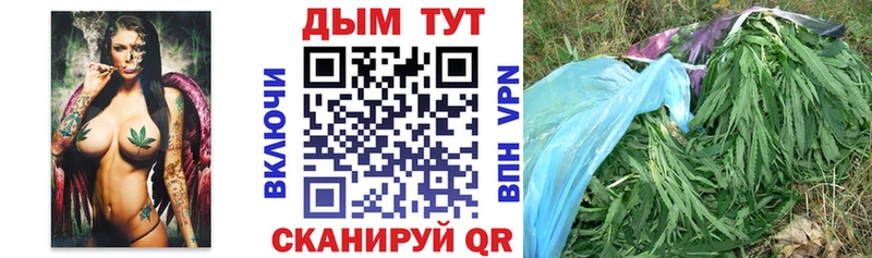 Канабис AK-47  цены наркотик  Иланский 